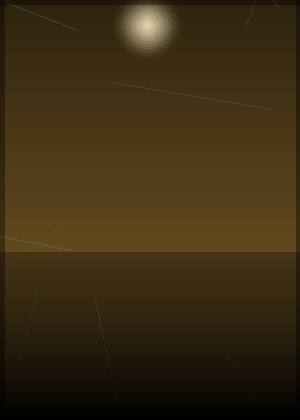 王安琪
