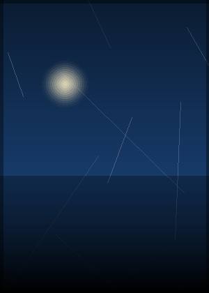 向星雨